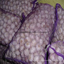 2016 New Crop Garlic Price Jinxiang